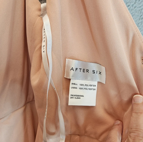 After Six Gown Womens Sz 10R Porcelain Pink Flowy Chiffon Formal Wedding *Read* - Picture 12 of 13